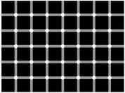 Optical Illusions