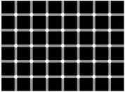 Optical Illusions